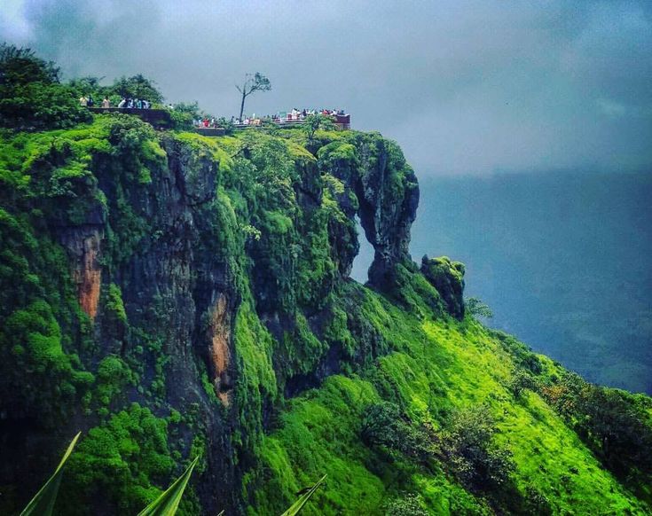 Falkland Point & Elephant Head Point