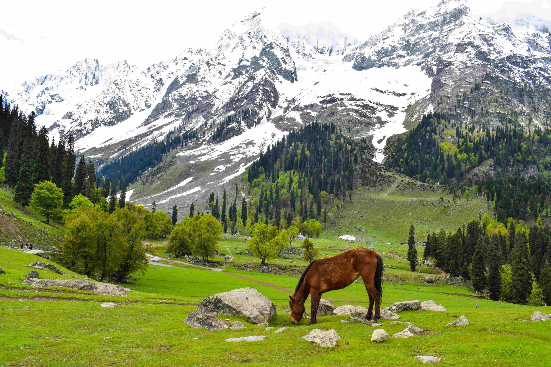 10 Breathtaking Destinations in Jammu and Kashmir You Must Visit Once in Your Life 