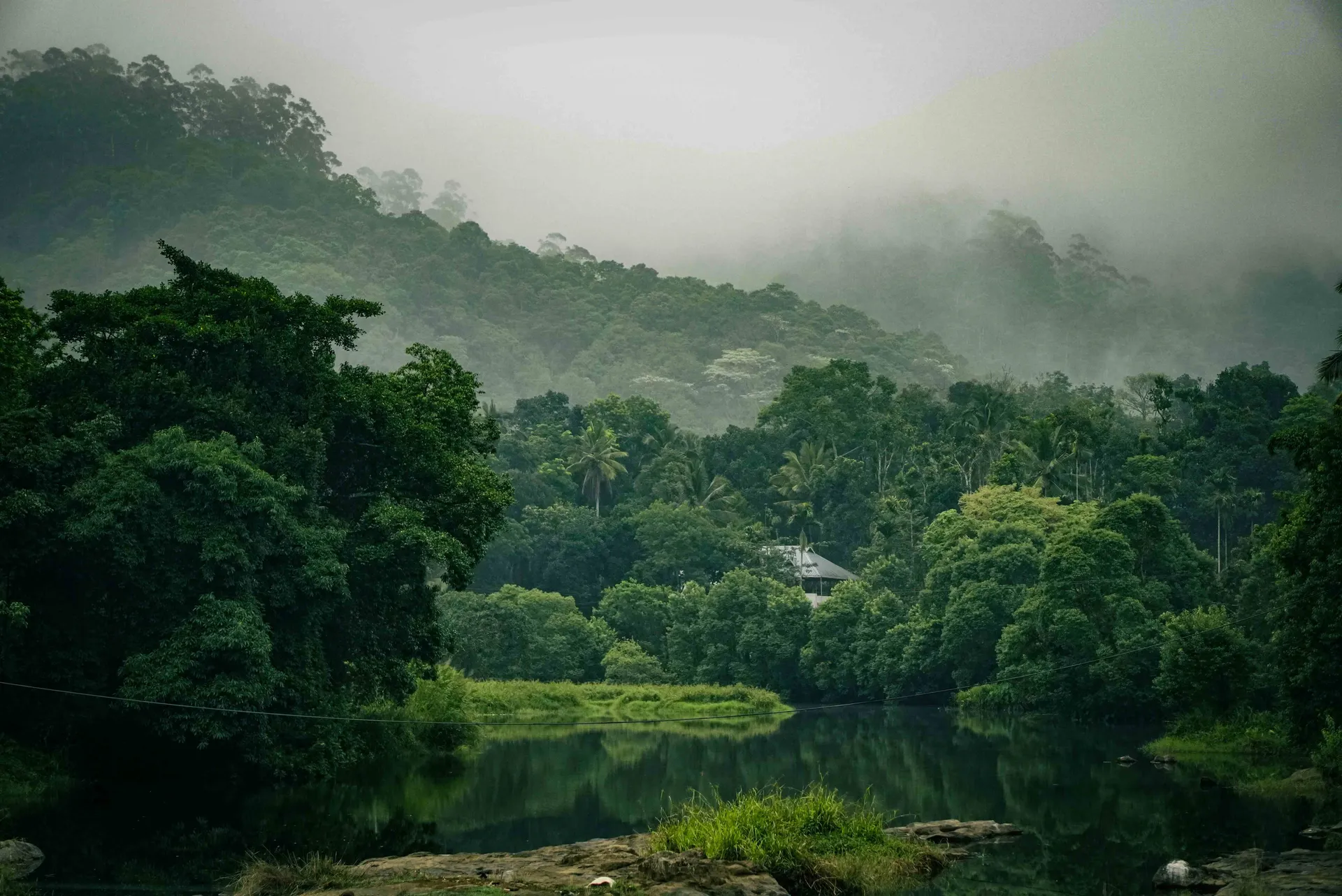 Thekkady Wildlife Wonders: Safari Preparation for Beginners