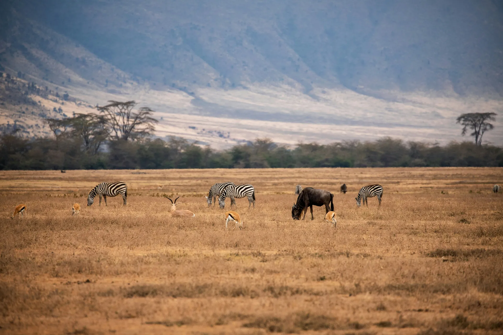 Tanzania's Hidden Gems: Offbeat Destinations Most Tourists Miss