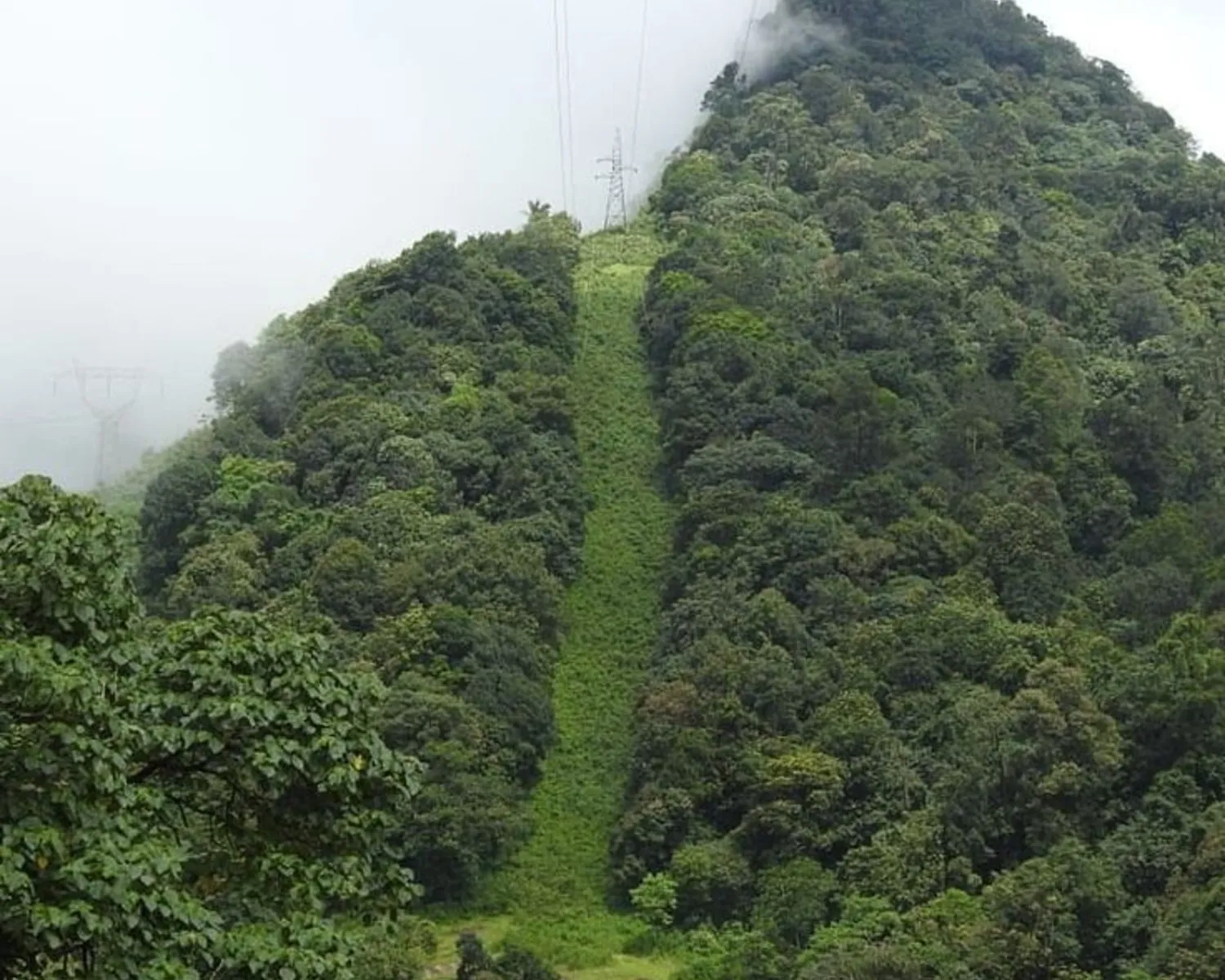 Travel follows_ Gavi Pathanamthitta_1500x1200.jpg