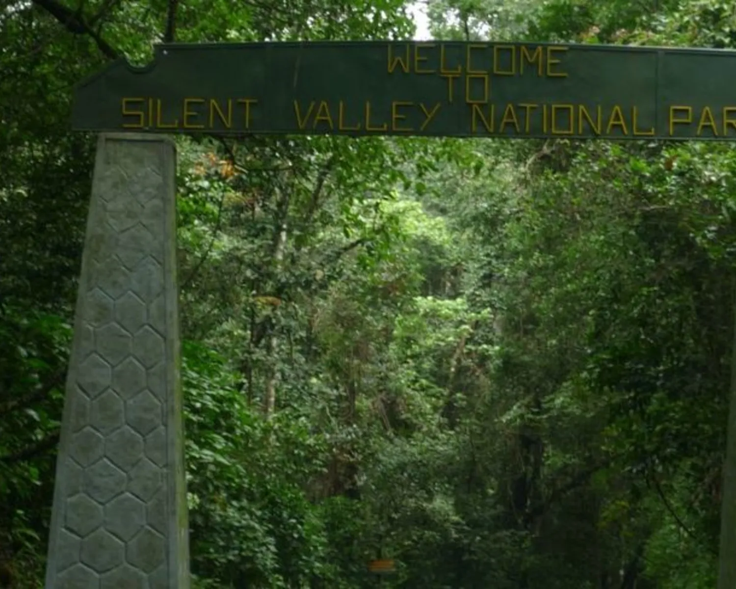 Silent Valley National Park_ A Pristine Paradise_1500x1200.jpg