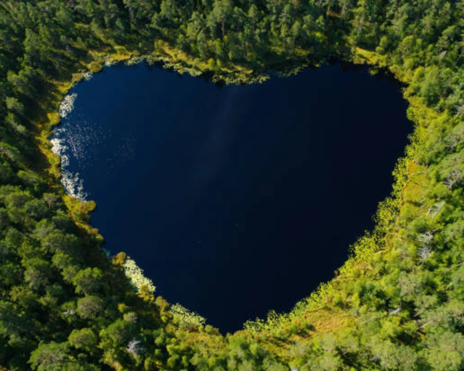 Heart_1500x1200.jpg