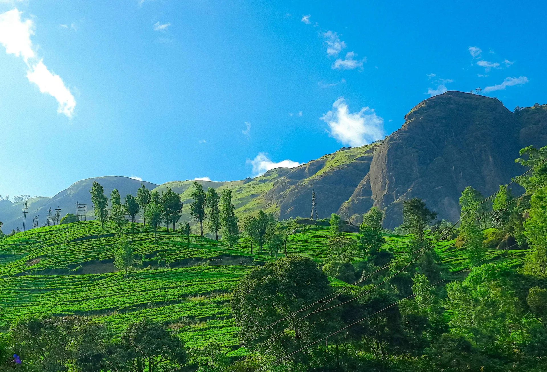 Coorg.jpg