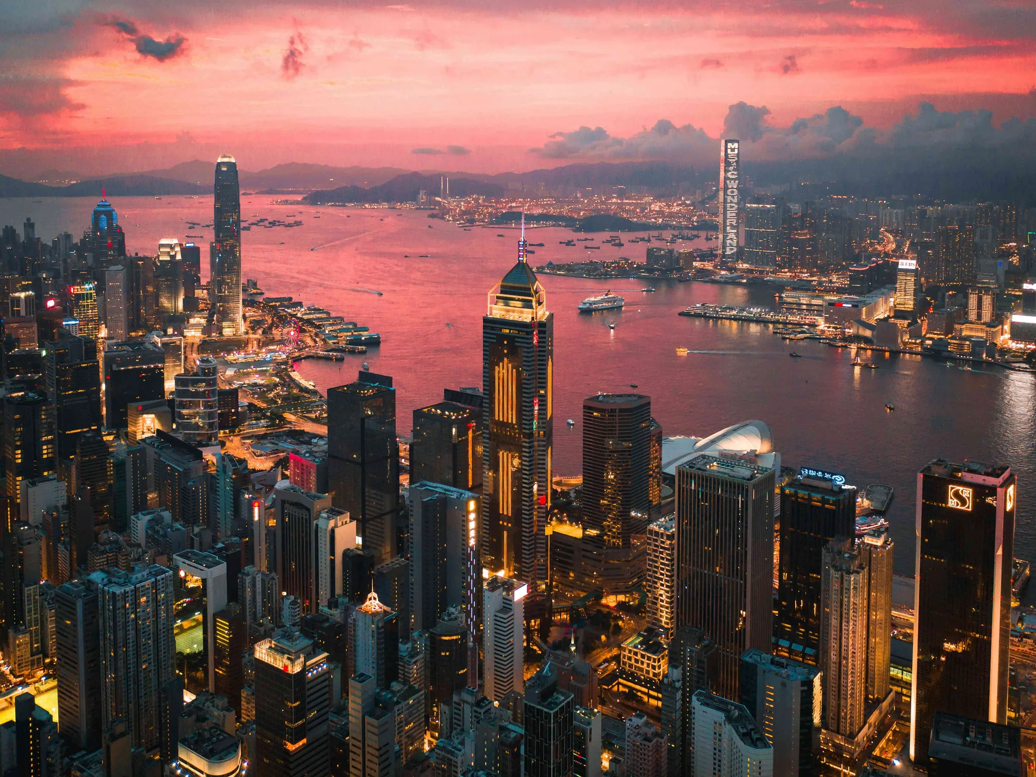The Best Night Markets and Local Experiences in Hong Kong