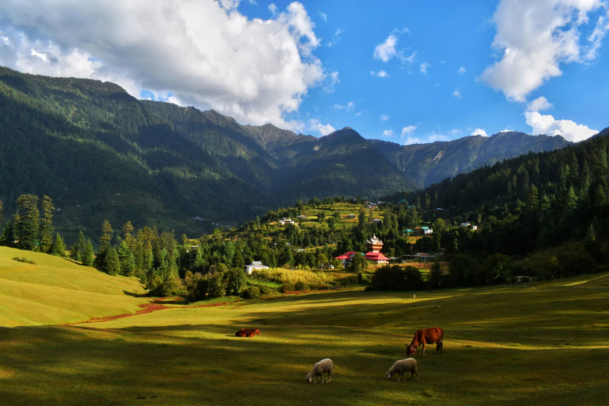 Shimla vs Manali: Which Himachal Hill Station Should You Visit First