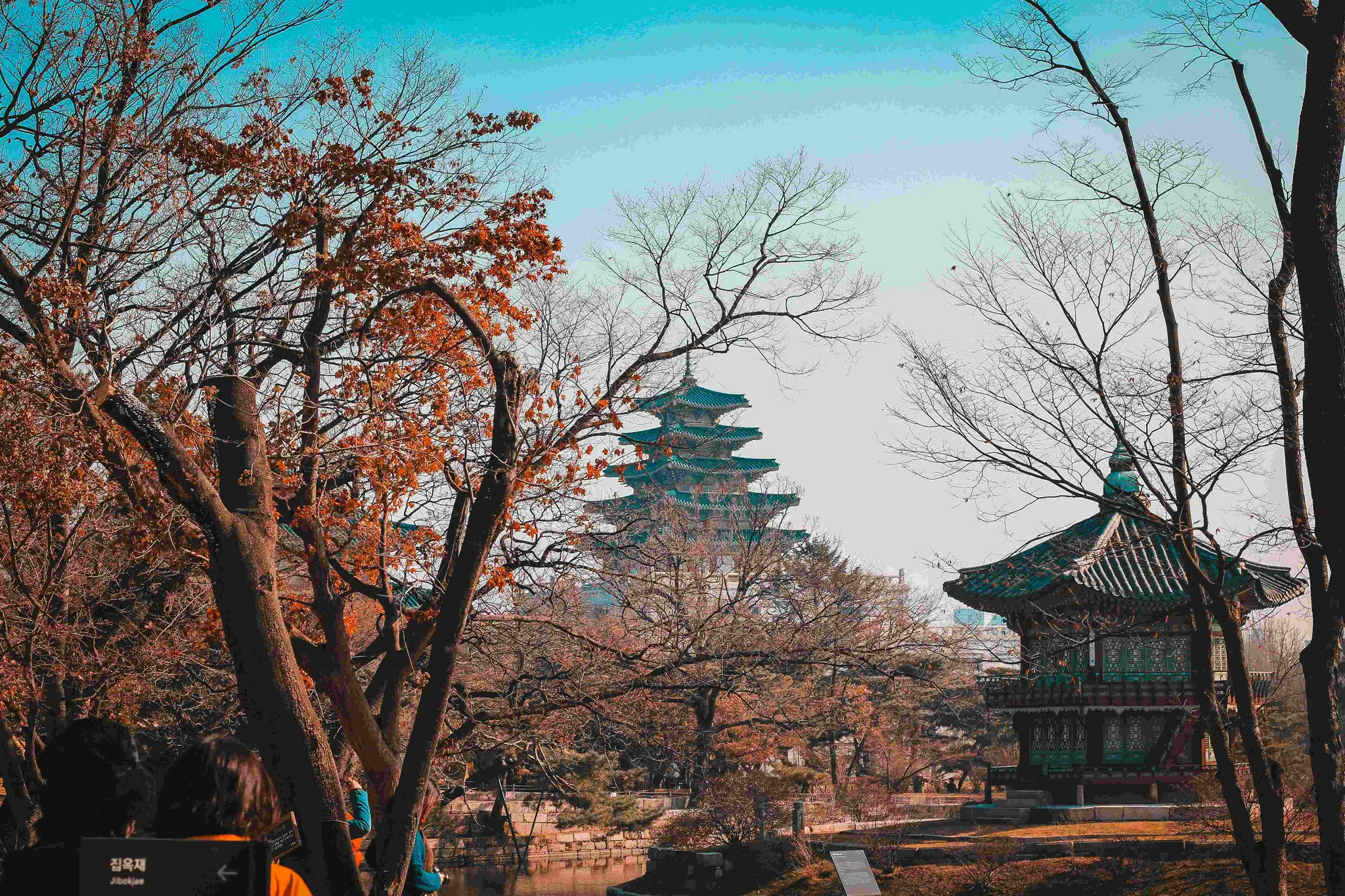 Best Cherry Blossom Spots in South Korea