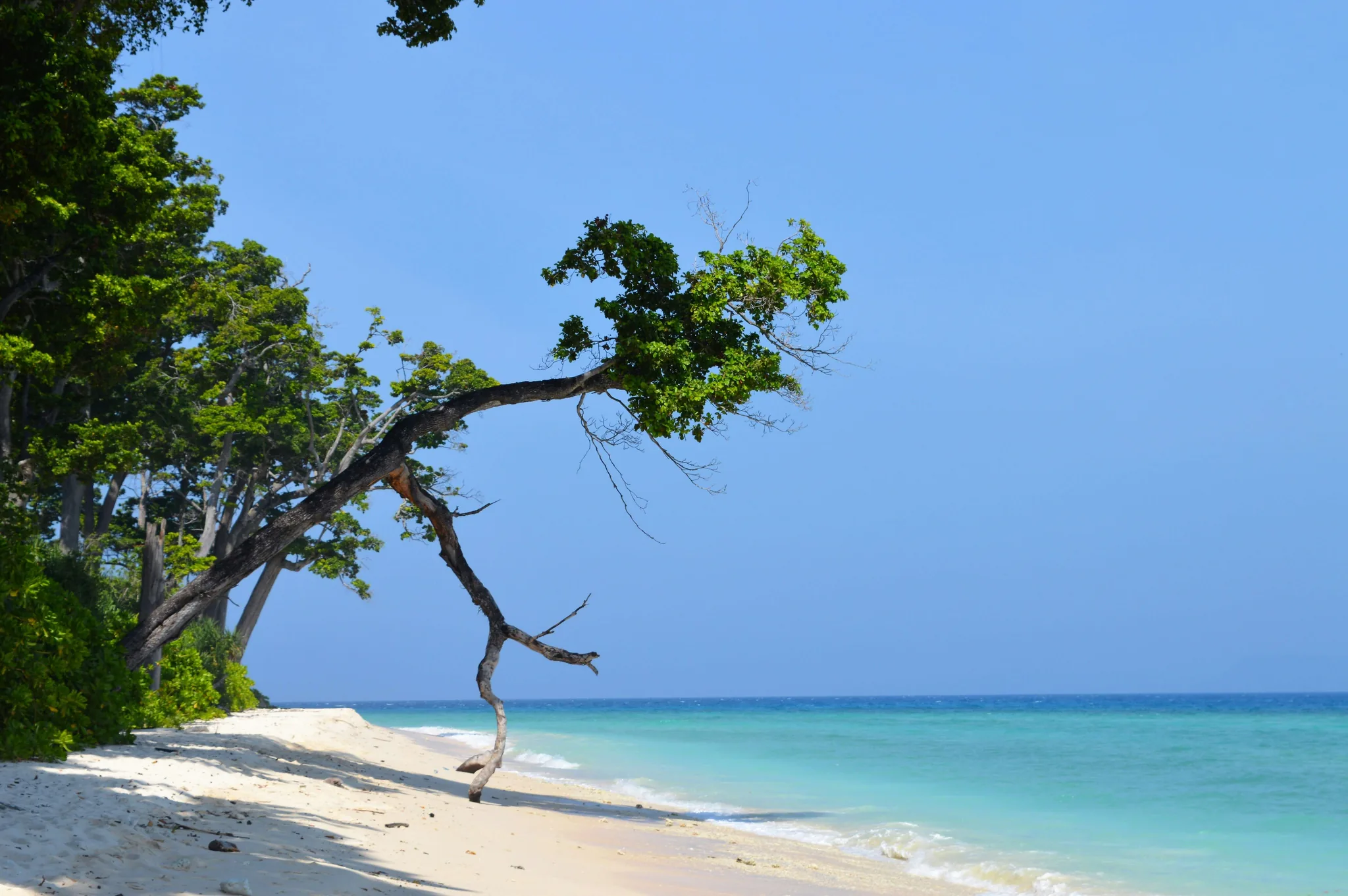Andaman for Couples: A Complete Honeymoon Guide