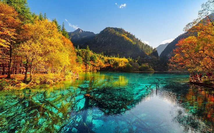 Top Natural Wonders in China You Need to See