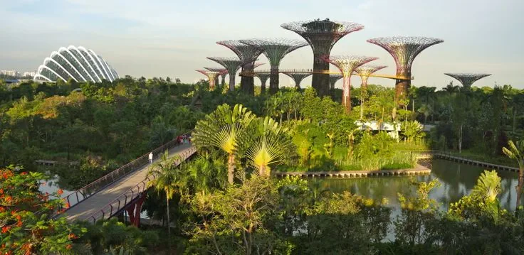 Why Singapore Is a Global Leader in Sustainable Tourism