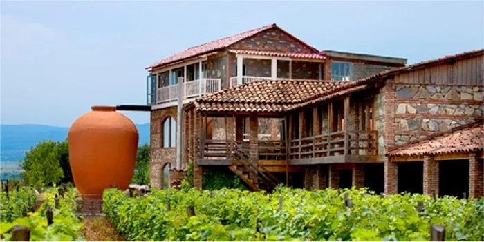 Why Georgia Is Known as the Birthplace of Wine