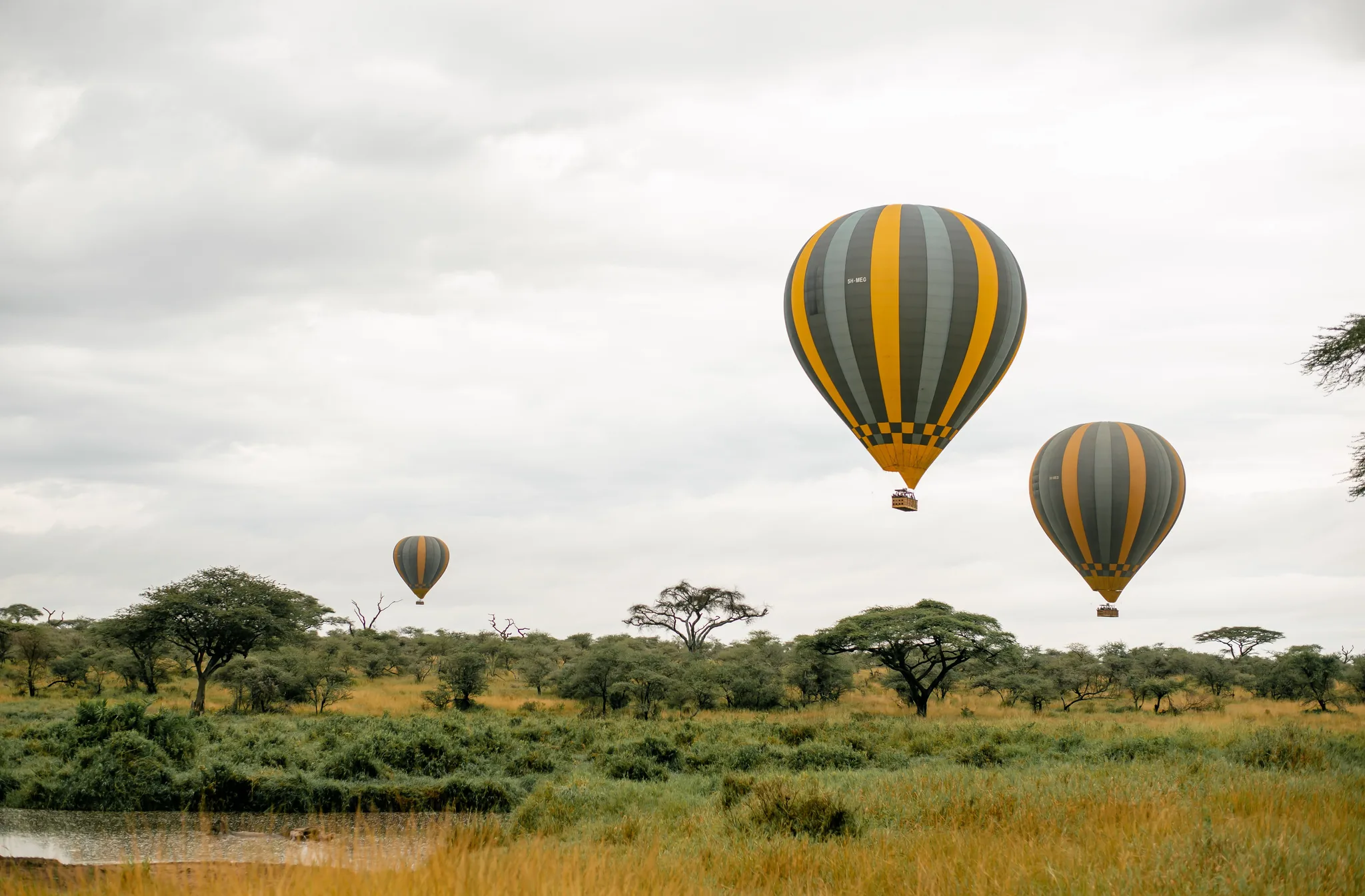 Ultimate Tanzania Travel Guide