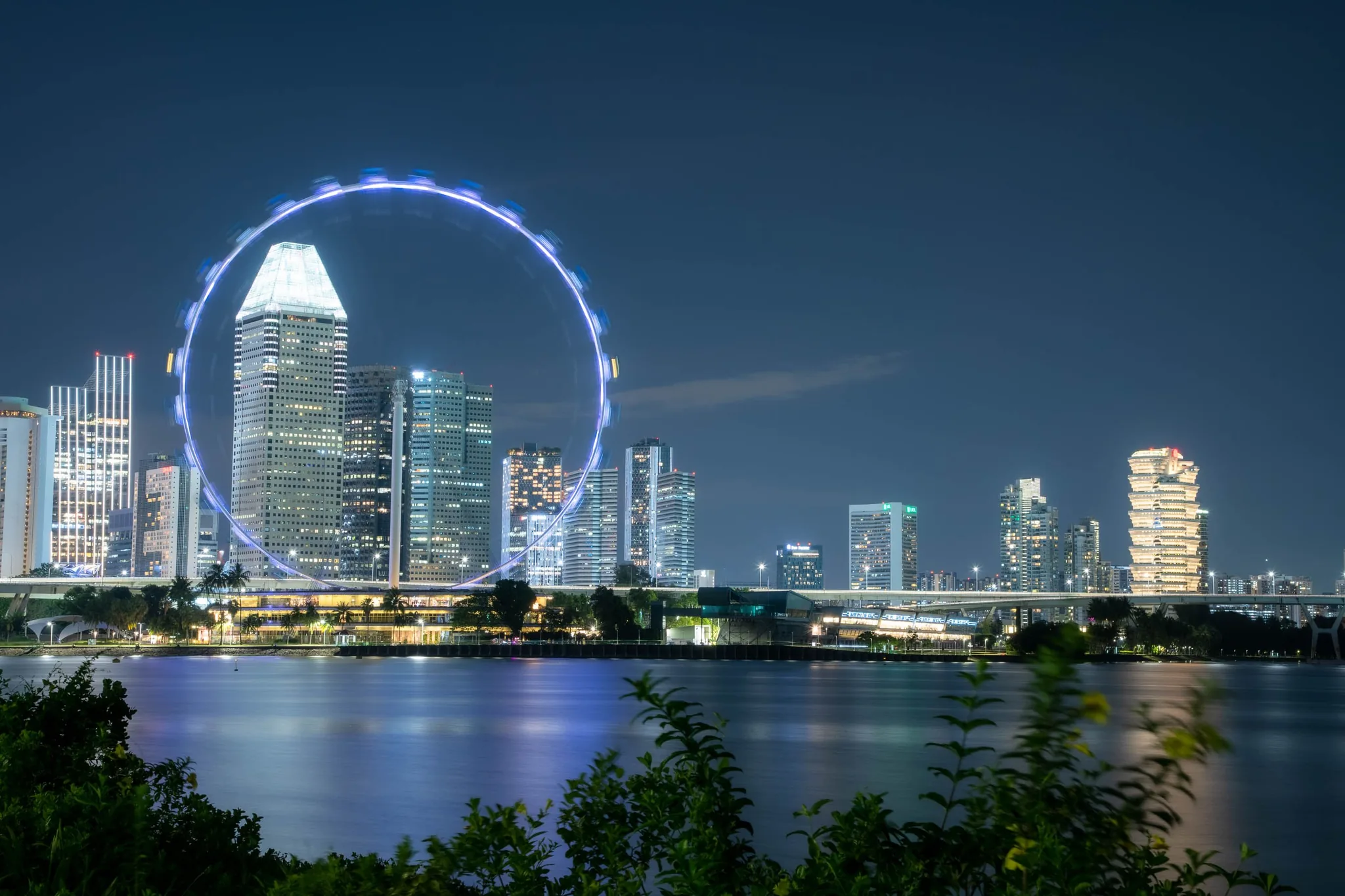 Top Nature Experiences in Singapore Beyond the City Skyline