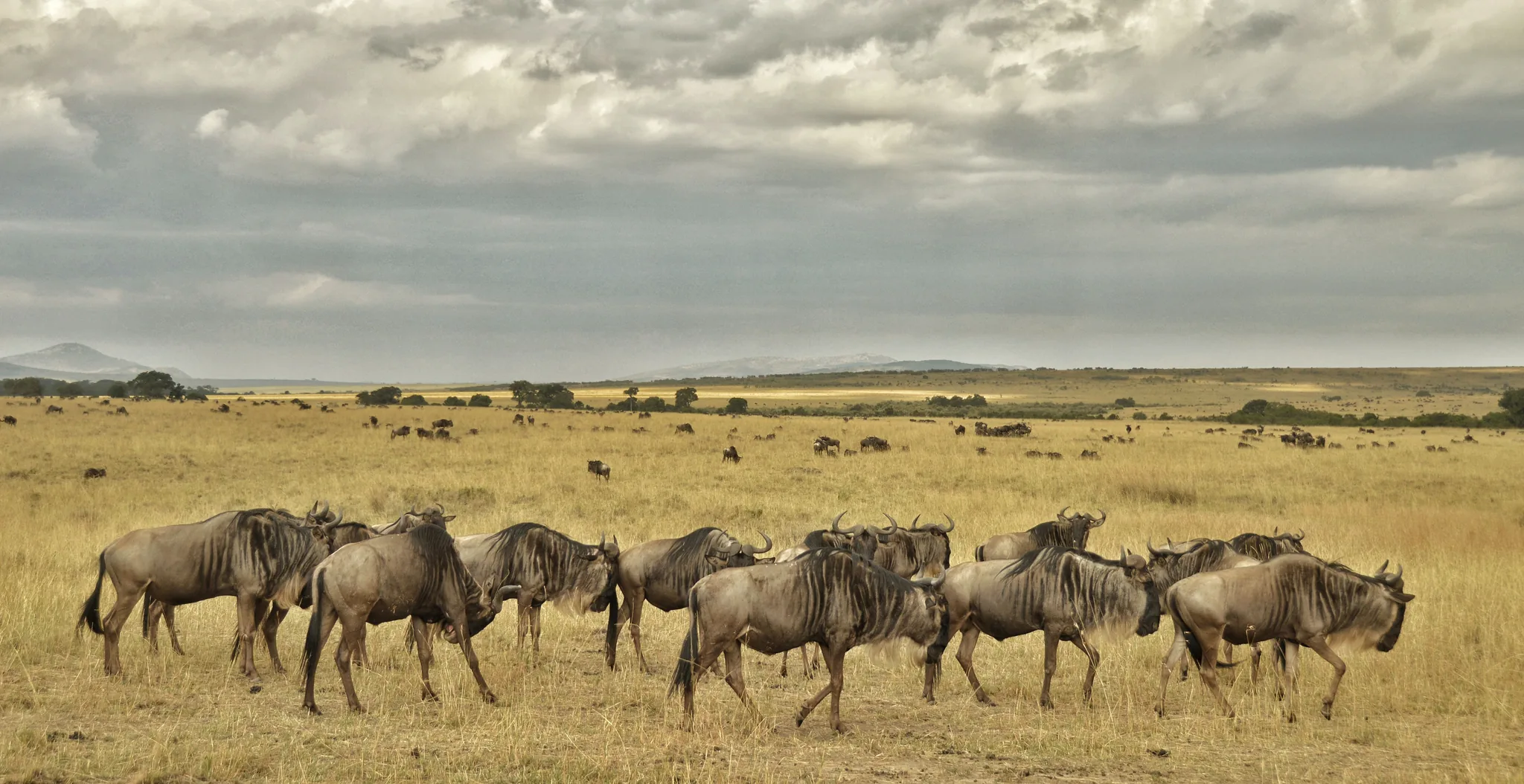 Top Things to Do in Kenya Beyond the Maasai Mara