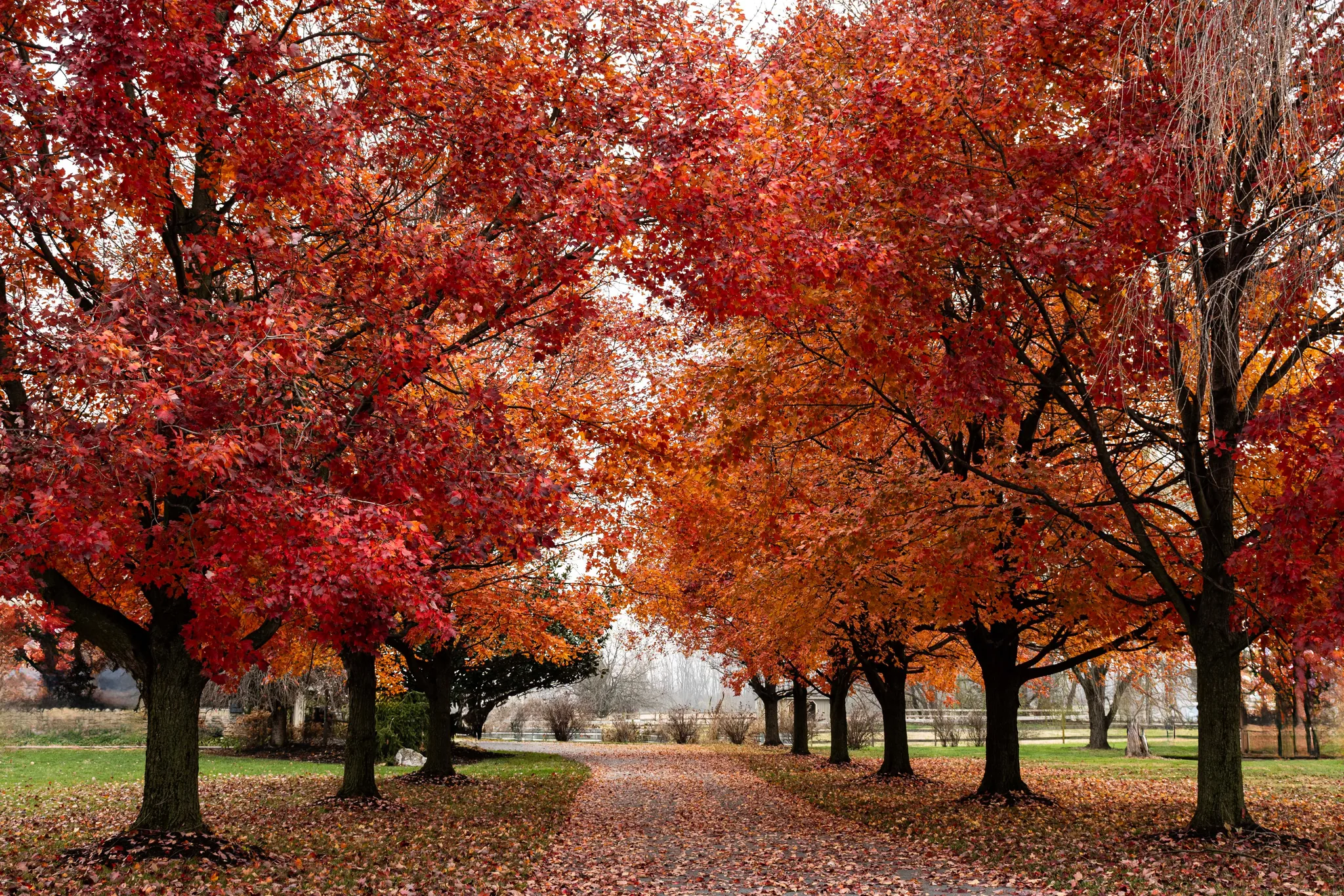 Australia Through Every Season: When and Where to Travel