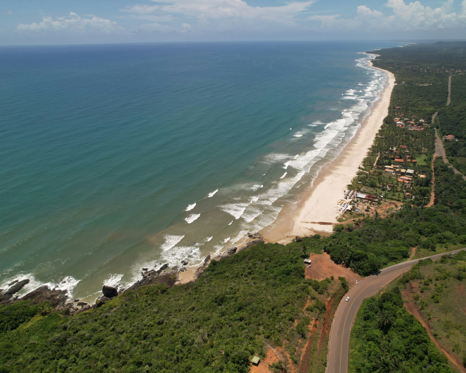 Palolem Beach's crescent bay with coconut palms