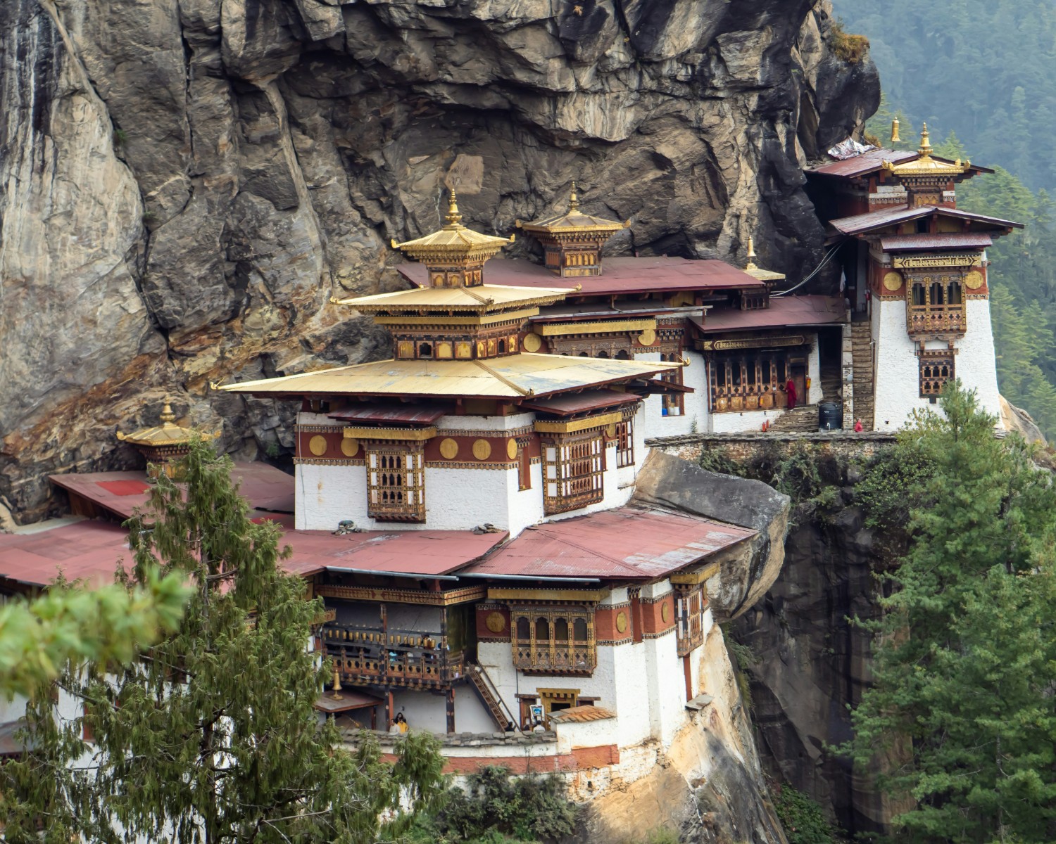 Buddhist monks in prayer ceremony at monastery