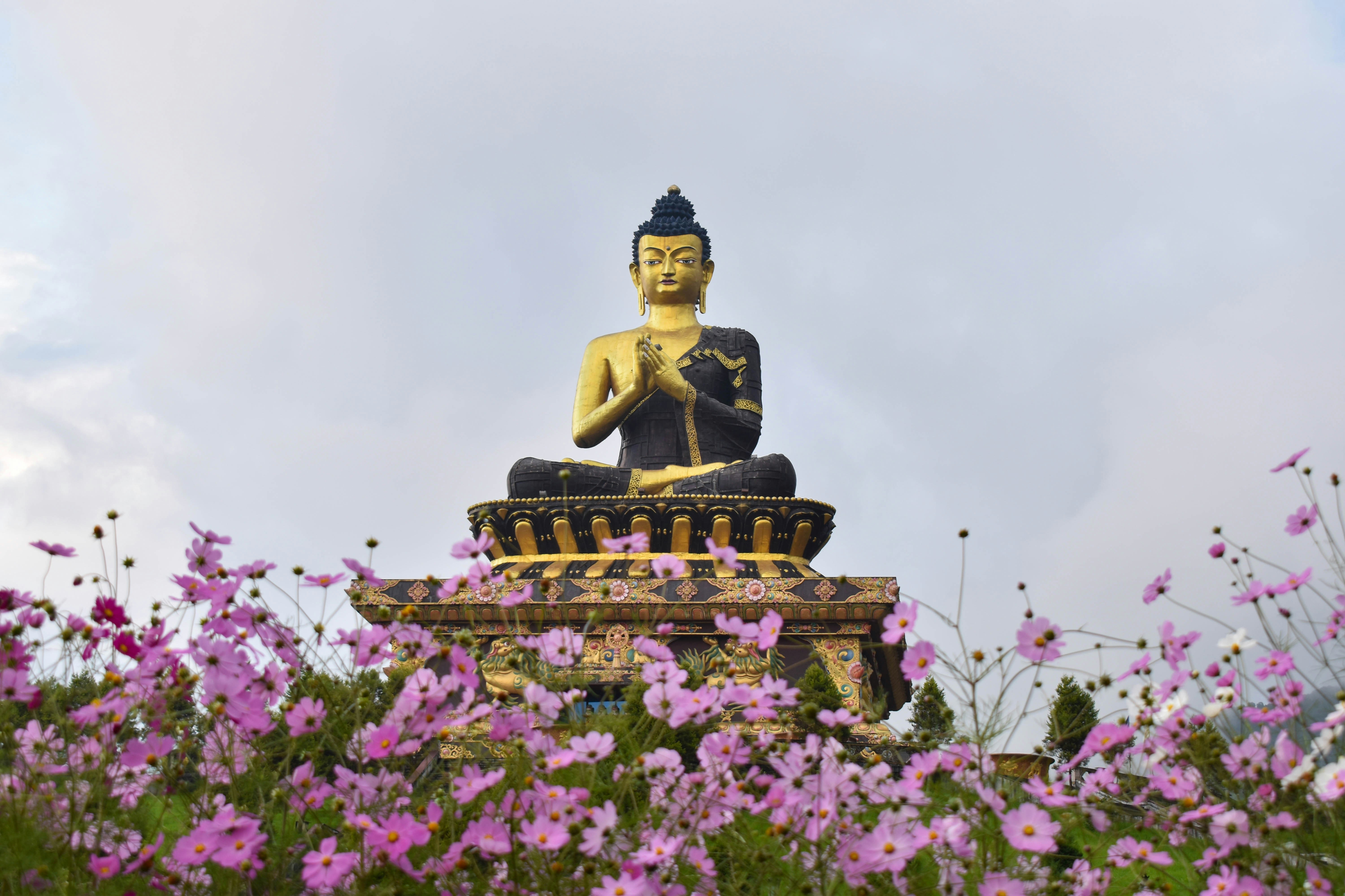 Sikkim