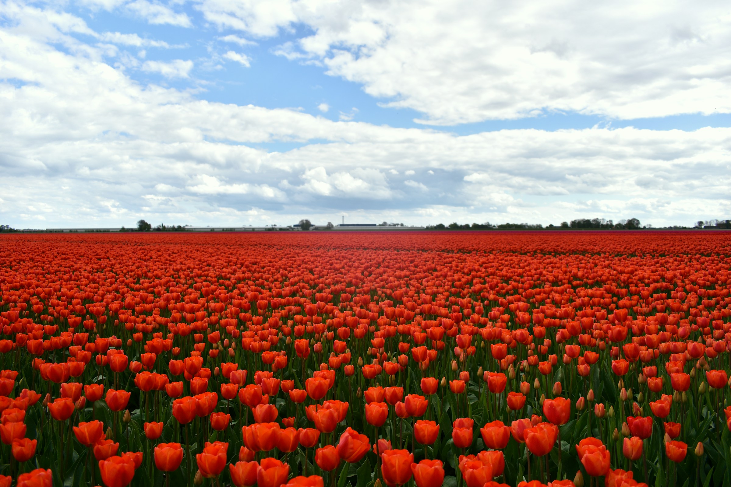 Netherlands