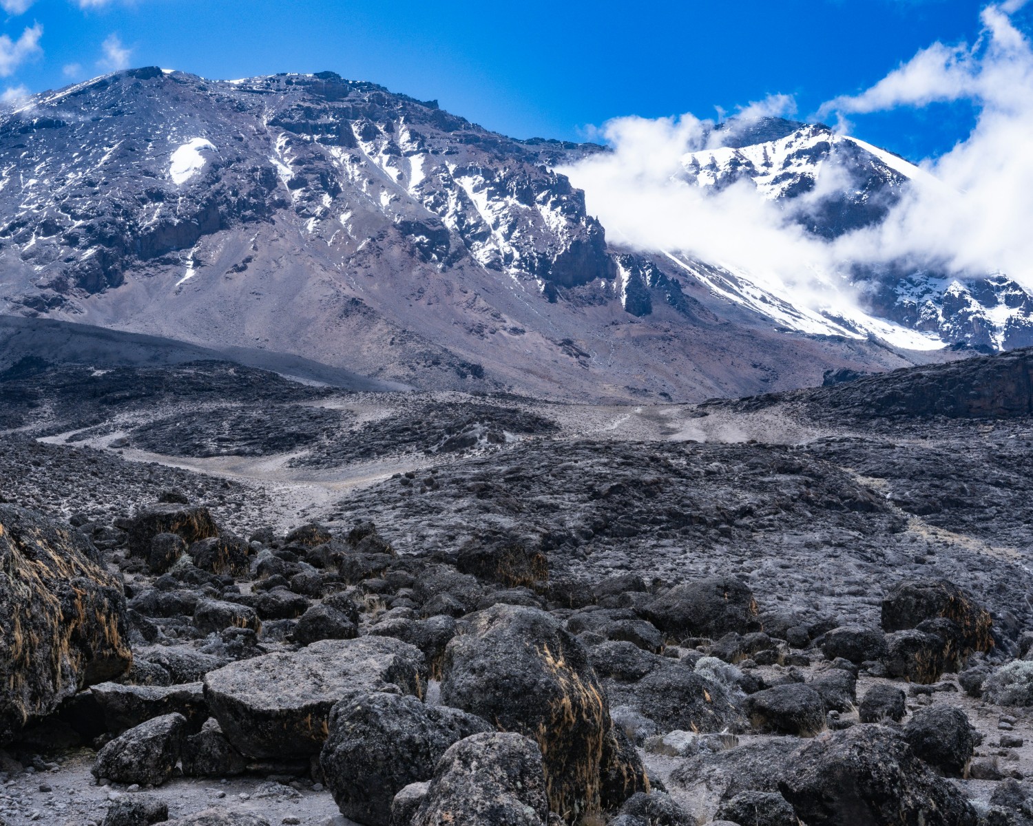 Kilimanjaro's slopes with glaciated peak visible