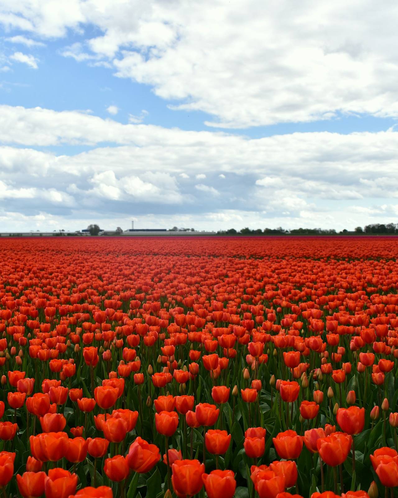 Netherlands