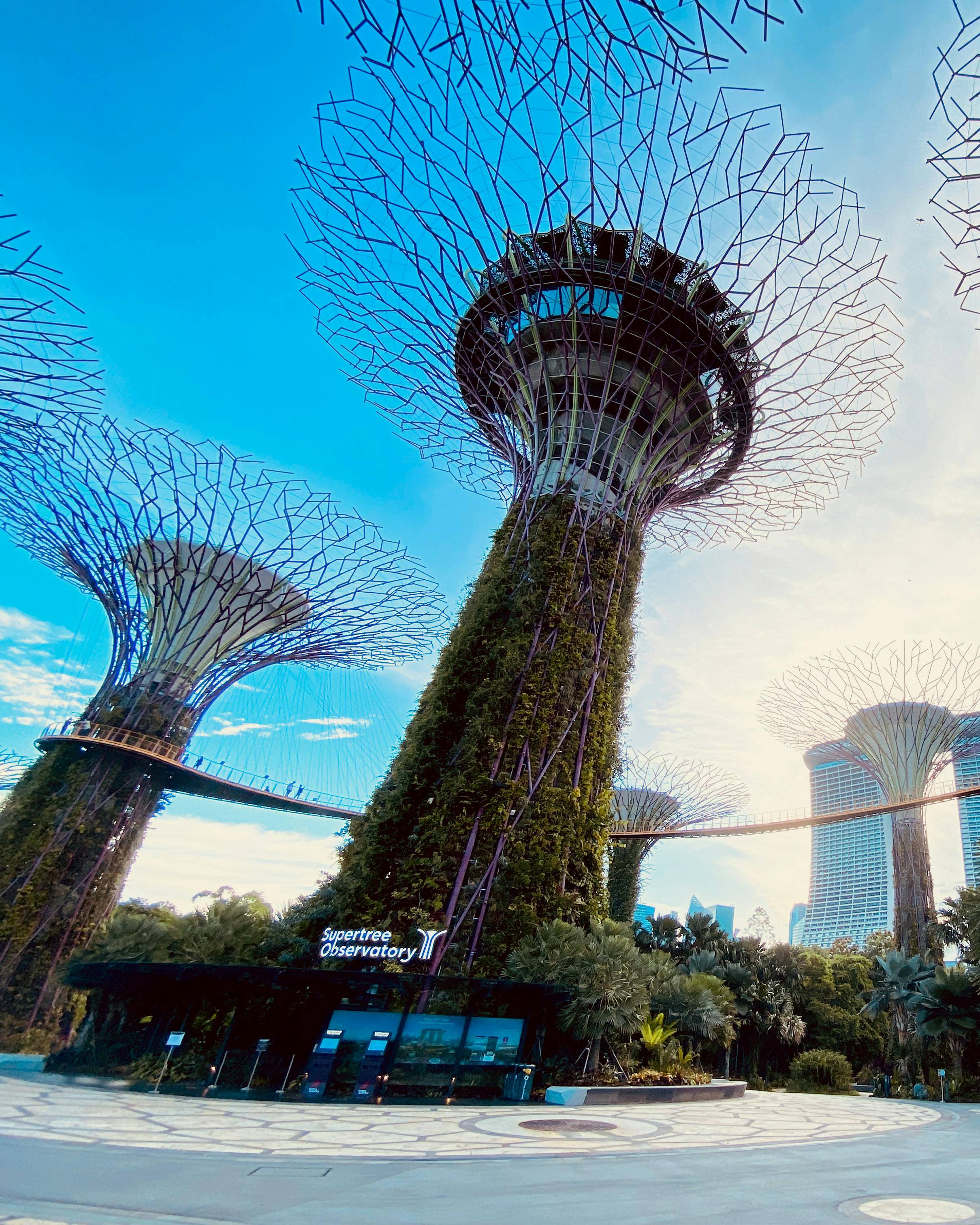 Singapore